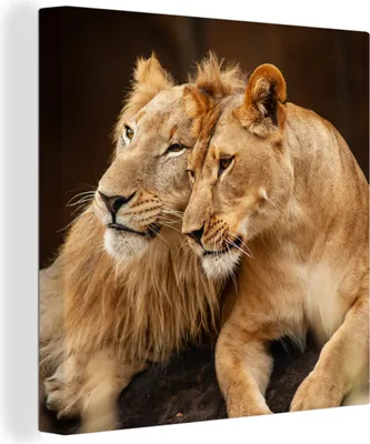 Produktbild von MuchoWow® - Leinwandbilder - Löwen - Braun - Tiere, Wandbild, Wanddeko Bilder Wohnzimmer, 20x20 cm