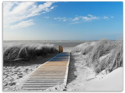 Produktbild von Wallario Glasunterlage, Schneidebrett aus Glas, Größe 30 x 40 cm, Motiv Auf dem Holzweg zum Strand in schwarz-weiß Optik