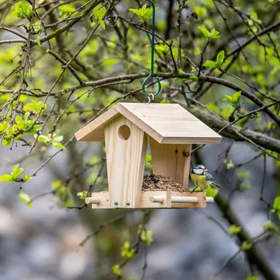 Produktbild von CJ Wildlife Vogelhaus zum Aufhängen - Bausatz zum Selbstgestalten - Holz 100% - Braun - Für Vögel - inkl. Aufhängehaken, Nägel & Anleitung