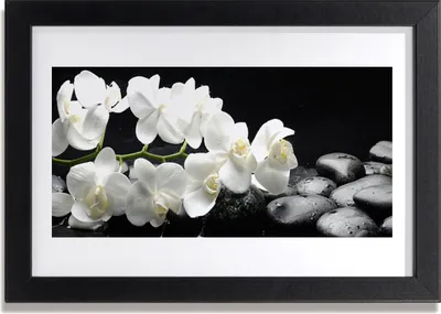 Produktbild von Bild 30x20 MDF-Rahmen Wandkunst Stein Blume Pflanze