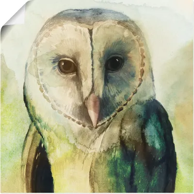 Produktbild von ARTland Poster Eule I Größe: 40x40 cm