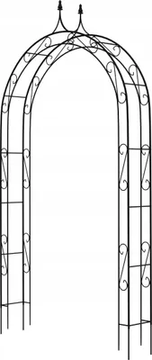 Image de Pergola de jardin - Arche métallique pour rosiers - Hauteur 281 cm - Pour rosiers grimpants et plantes grimpantes - Construction robuste - Noir