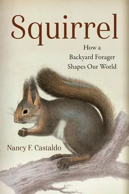Obrázok produktu pre Squirrel