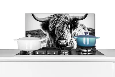 Obrázok produktu pre MuchoWow® Splashback Kuchyňa - Kuchynský backsplash - Ochrana steny pre sporák a drez Škótsky horal - Príroda - Krava - Čierna - Biela 60x30cm