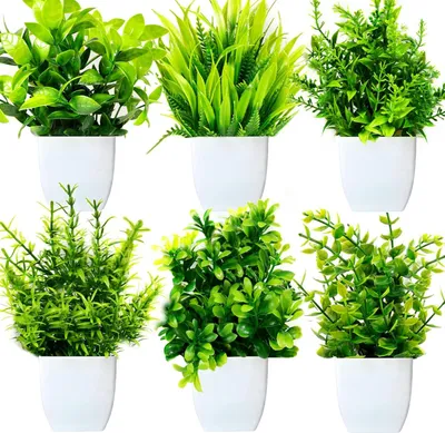 Image de Mini-plantes artificielles en pot - plantes artificielles décoratives - 6 pièces - vert - plastique