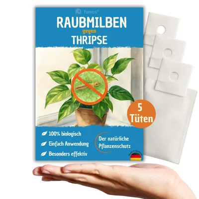 Produktbild von Raubmilben gegen Thripse bei Gemüse-, Zier- & Nutzpflanzen - 5 Tüten für 5-10 Pflanzen