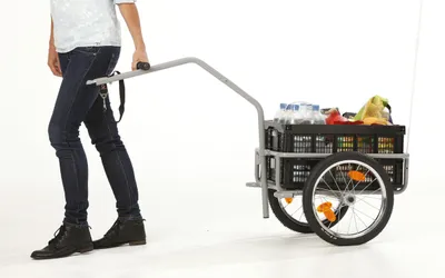 Image de FISCHER Remorque de transport Profi Plus III - Remorque de vélo 30 kg, 49L, pour roues de 26-28'