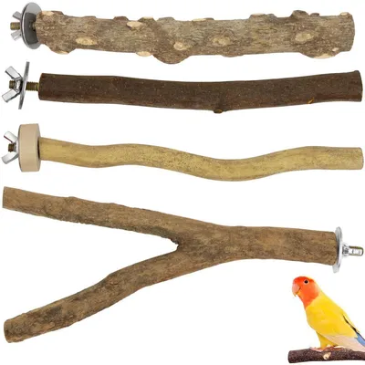 Immagine prodotto di Set di 4 posatoi naturali per uccelli, realizzati in legno naturale