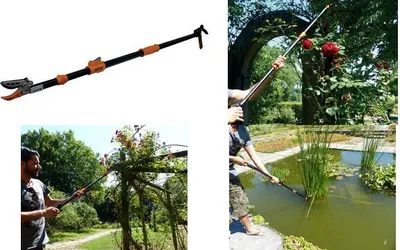 Immagine prodotto di Garden PRIMUS 1410 Garden PRIMUS potatura giraffa rosa cavalier, telescopica