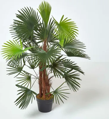 Obrázek produktu pro HOMESCAPES Umělá palma 'Rhapis', zelená, 90 cm