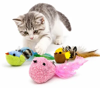 Matatabi Vogelspeelgoed für Katzen, 3 Stück mit Federn
