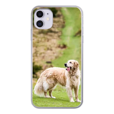 Produktbild von MuchoWow® Handyhülle Schutzhülle Hülle für iPhone 11 Schönes Bild eines Golden Retrievers Silikon Softcase Handy Hülle - Handytasche