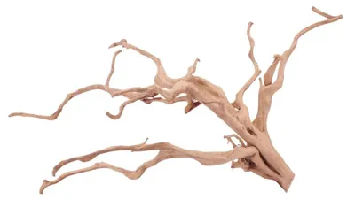 Produktbild von XXL Moorkienwurzel Nr.4299 Holz Deko Aquascaping