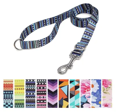Immagine prodotto di Guinzaglio regolabile in nylon, blu, 120 cm x 2 cm, con doppio anello a D, adatto per cani di piccola, media e grande taglia
