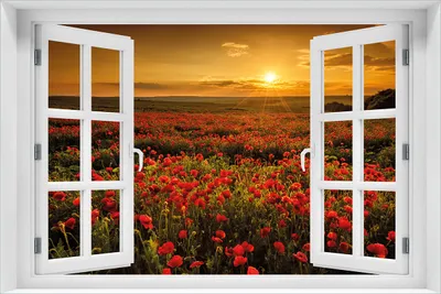 Produktbild von Wallario Poster mit Fenster-Illusion: Mohnblumenwiese bei Sonnenuntergang am Abend, Größe: 61 x 91,5 cm (Maxiposter)