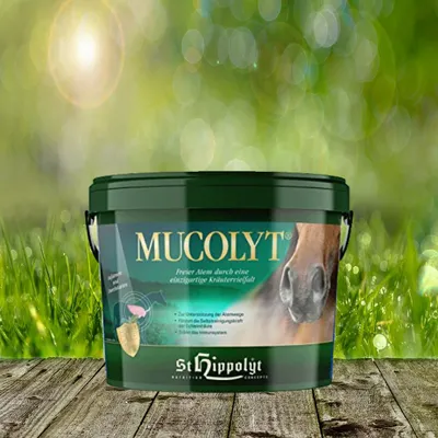Produktbild von St.Hippolyt - Mucolyt - 5kg