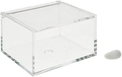 Plexiglas-Box, 10x10x6 cm, transparent, ohne Deckel