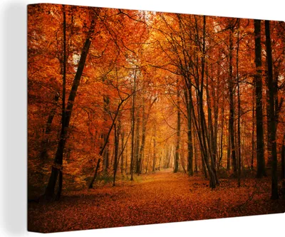 Produktbild von OneMillionCanvasses® - Leinwandbilder - 150x100 cm, Herbst - Rot - Wald, Wandbilder Kunstdruck Wanddekoration