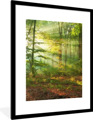 Produktbild von MuchoWow® Gerahmtes Poster Sonne - Wald - Bäume - Natur - Herbst 60x80 cm - Poster mit Schwarzem Bilderrahmen Wandposter Rahmen Foto Bilder - Wohnzimmer - Dekorationen - Prämie