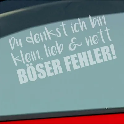 Produktbild von Auto Aufkleber Du denkst ich bin klein, lieb & nett Böser Fehler! 19,5x9,5 cm Milchglas Sticker Heckscheibenaufkleber
