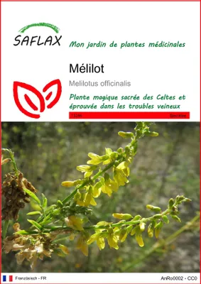 Image de SAFLAX  - Mélilot - 250 graines - Melilotus