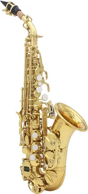 Obrázek produktu pro Saxofon, sopránový saxofon s pevným pouzdrem pro studenty, amatéry i profesionály (zlatý), váha 2,9 kg