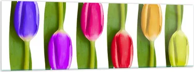 Produktbild von Bilder auf glas - Tulpe Blume Garten Komposition - 160x50cm - Glasbilder - Wandbilder - Kunstdruck - zum Aufhängen bereit - Wanddekoration aus Glas - Glas Bilder - Wandbild auf Glas - GAB160x50-2360