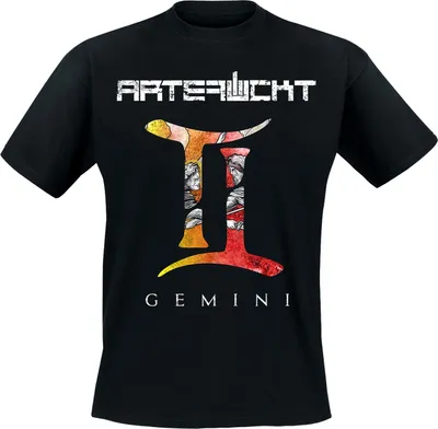 Produktbild von Artefuckt - Gemini, T-Shirt