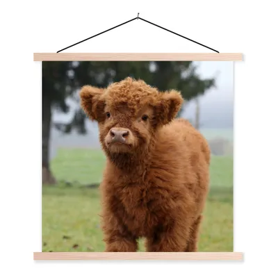 Produktbild von MuchoWow® Textilposter Schottische Highlander - Gras - Natur 60x60 cm mit holzfarbenen Rahmen - Wanddekoration