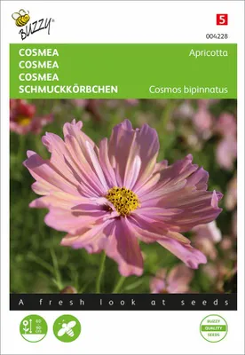 Produktbild von Schmuckkörbchen Apricotta | Cosmeasamen von Buzzy Seeds