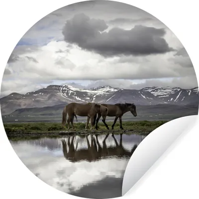 Produktbild von MuchoWow® Runde Wandtattoo - Wandsticker Tapete Aufkleber Pferde - Island - Natur Ø 30 cm Selbstklebend und Repositionierbar - Wandaufkleber - Kreis - Wandbild - Fototapete - Selbstklebend - Dekoration - Wandschmuck - Schlafzimmer