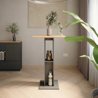 A modern interior scene featuring a bar table with shelves, a cabinet, and a large plant.
