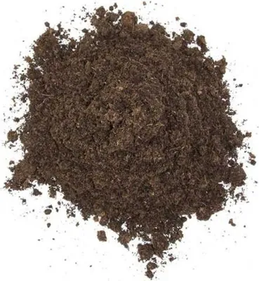 Produktbild von Floragard Schildkrötensubstrat Terrariensubstrat Terrarienerde 50 L (1 x 50L)