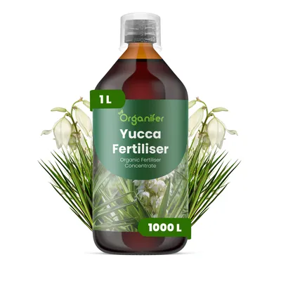 Zdjęcie produktu dla Nawóz Płynny dla Yuccu 1 L – 3-4-3 NPK – Do Yuccu – Do Zdrowy Wzrost, Silne Rośliny i Silne Korzenie – Organifer
