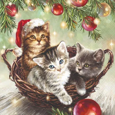 Produktbild von Servietten 33x33 cm - Cats in basket