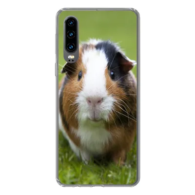 Produktbild von MuchoWow® Handyhülle Schutzhülle Hülle für Huawei P30 Zwei Meerschweinchen Silikon Softcase Handy Hülle - Kartenbesitzer
