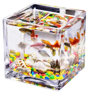 Produktbild von Rechteckiges Glasaquarium für Schildkröten und für eine ökologisch gestaltete Aquaristik