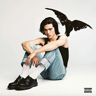 Obrázok produktu pre Conan Gray: Kid Krow