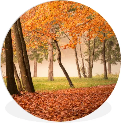 Produktbild von MuchoWow® Rundes Wandbild - Runde Bilder Blätter - Herbst - Wald Ø 60 cm Kreis Wanddekoration Kunststoff - Wandkreis - Wandschmuck - Wand Kreis - Das Schlafzimmer - Die Bilder - Wandmalerei - Kunst für das Haus - das Plastik