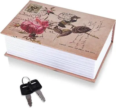 Imagen del producto de Caja fuerte para libros, con cerradura, compacta y portátil. Ideal para objetos de valor. Dimensiones: 18 x 11,5 x 5,5 cm. Solución de seguridad para el hogar y los viajes