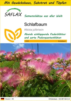 Produktbild von SAFLAX Anzucht Set - Schlafbaum - Albizia julibrissin - 50 Samen - Mit Mini-Gewächshaus, Anzuchtsubstrat und 2 Töpfen