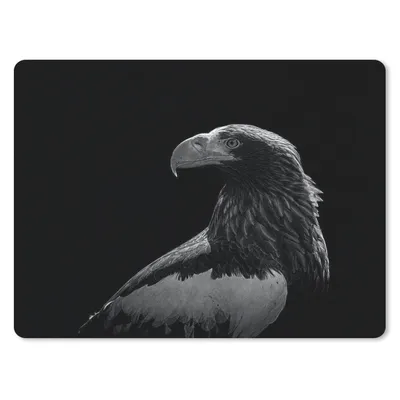 Produktbild von MuchoWow® Mauspad Mousepad Adler - Nahaufnahme - Schnabel 40x30 cm - Mousepads - Maus Mat - Pad - Mausunterlage - Anti Rutsch