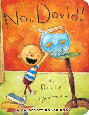 Produktbild von No, David!