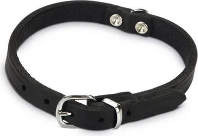 Produktbild von Beeztees - Hundehalsband - Leder - schwarz - 27-33 cm x 12 mm