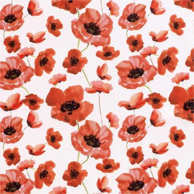 Popeline Baumwollstoff Blumen ab 50x145cm Meterware OEKO-Tex 100 Basicstoff Mohnblume