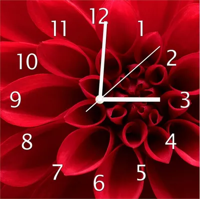Produktbild von Wallario Design Wanduhr Rote Dahlienblüte in Nahaufnahme aus Echtglas, Größe 30 x 30 cm