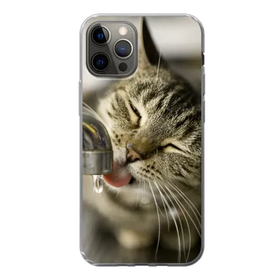 Produktbild von MuchoWow® Handyhülle Schutzhülle Hülle für iPhone 12 Pro Katze - Wasserhahn - Getränk Silikon Softcase Handy Hülle - Abdeckung