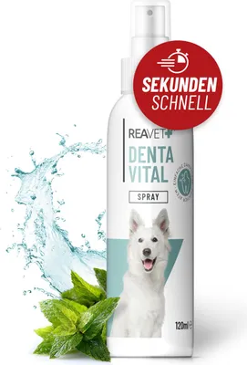 Produktbild von REAVET Dentalspray für Hunde - Entfernt Zahnbelag, Neutralisiert Mundgeruch, beugt Zahnstein vor I Zahnpﬂege Spray Hund, Zahnreinigung ohne Bürste für einen frischen Atem 120ml