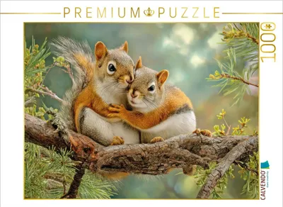 Produktbild von CALVENDO Puzzle Eichhörnchenliebe | 1000 Teile Lege-Größe 64x48cm Foto-Puzzle für glückliche Stunden