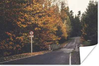Produktbild von MuchoWow® Poster Bäume - Straße - Herbst 120x80 cm - Bilder